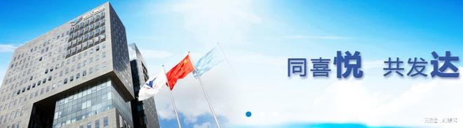 悦达集团接盘润阳股份始末……