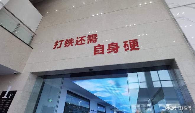 悦达集团接盘润阳股份始末……