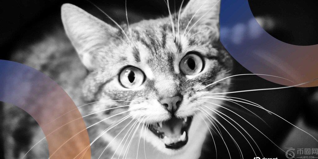 AI能破解猫咪密码吗?百度认为可以 AI能破解猫咪密码吗?百度认为可以