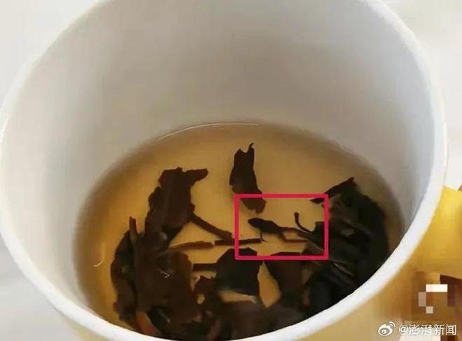 市监部门回应“奈雪的茶喝出青蛙”：双方已和解，正在溯源