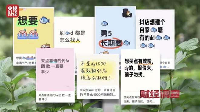 大众点评探店笔记造假，小红书成网络水军接派单“新阵地”！总台《财经调查》曝光→