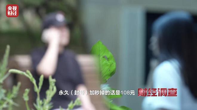 大众点评探店笔记造假，小红书成网络水军接派单“新阵地”！总台《财经调查》曝光→