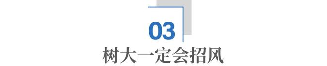 马斯克，为什么非要从政？