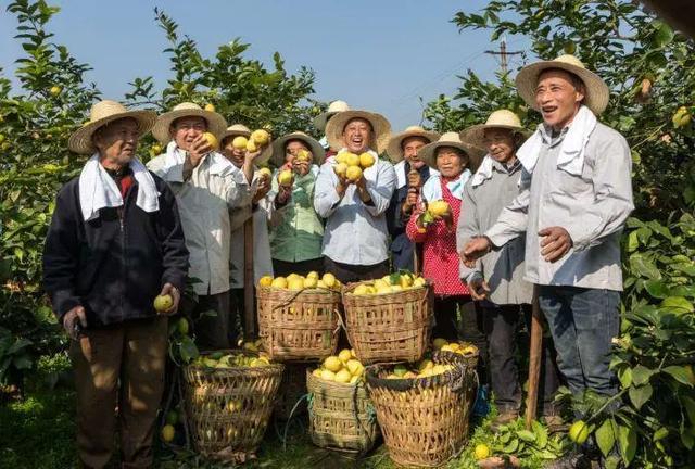 “身价暴涨”500%，狂卖10亿杯的超级单品，带飞一颗“酸果”