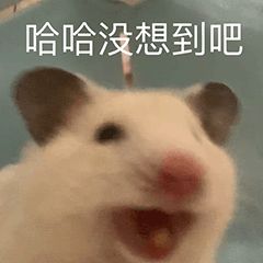 因为白菜价内存，长江存储在美国狂扁美国人。