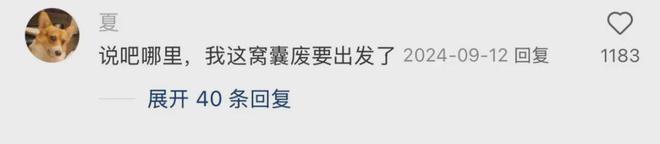 「窝囊旅游三件套」，拯救多少打工人？