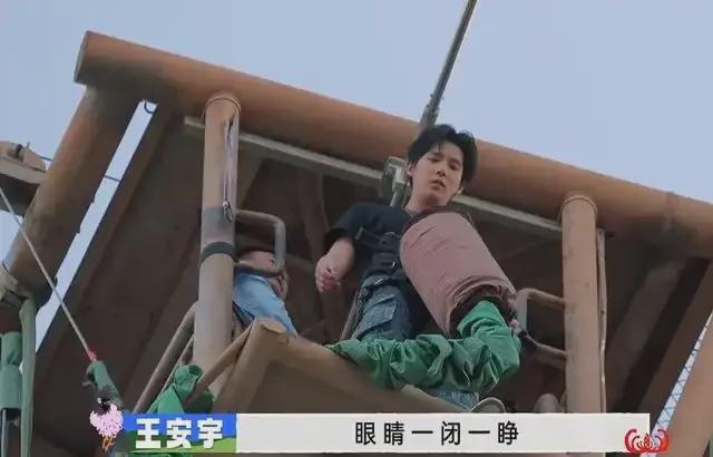 「窝囊旅游三件套」，拯救多少打工人？
