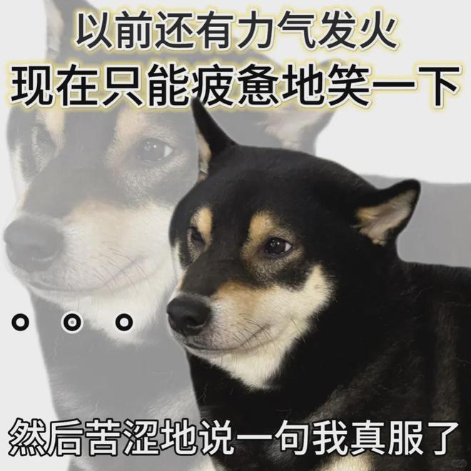 「窝囊旅游三件套」，拯救多少打工人？