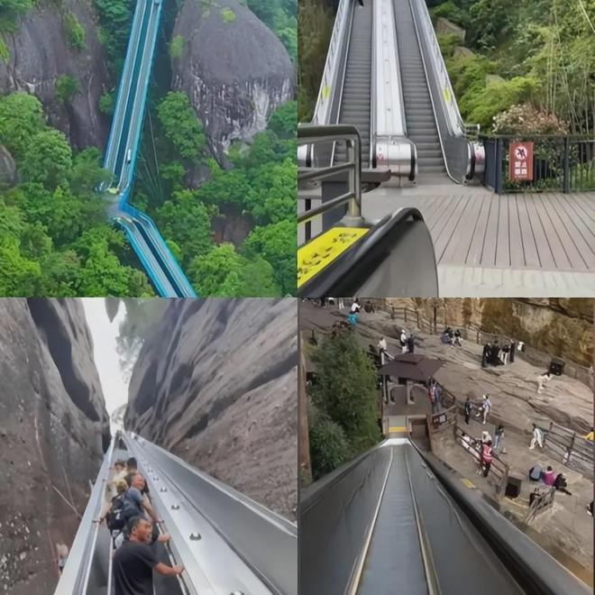 「窝囊旅游三件套」，拯救多少打工人？