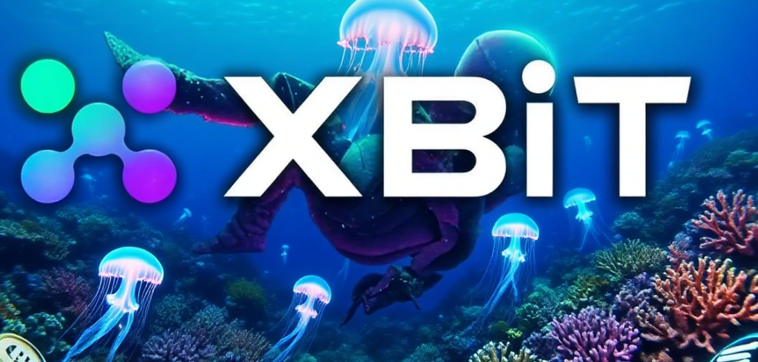 为什么XBIT正在重新定义加密交易的未来