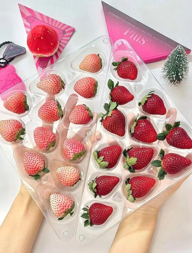 一颗草莓生万物:桃喜莓莓如何以全产业链创新重塑农业品牌价值? 一颗草莓生万物:桃喜莓莓如何以全产业链创新重塑农业品牌价值?